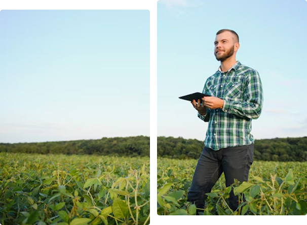 Agricultural Engineering Assignment Support