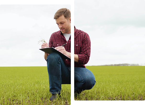 Agricultural Engineering Assignment Writing Help