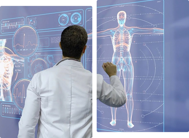 Biomechanics Assignment Support