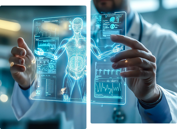 Biomechanics Assignment Writing Help