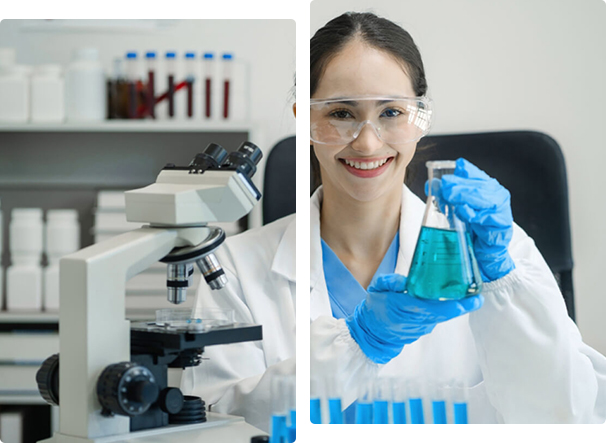 Biomedical Engineering Assignment Support