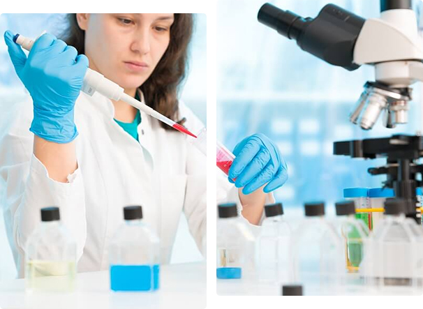 Biochemical Engineering Assignment Writing Help